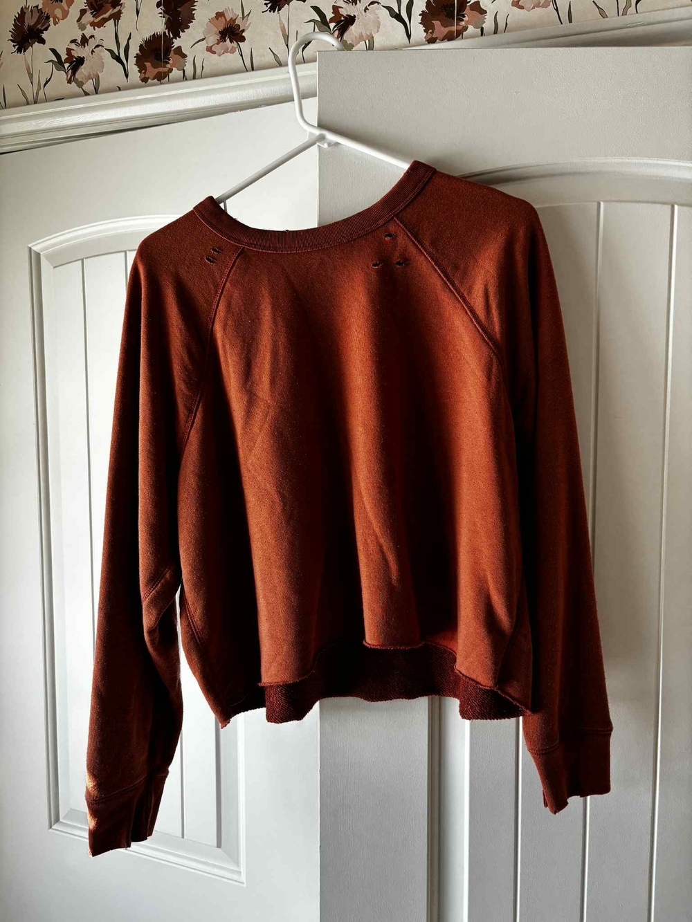 aerie Rust Crewneck Sweatshirt - Warm Brown